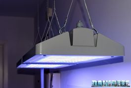 Aquariumlampe philips coral care led 2x