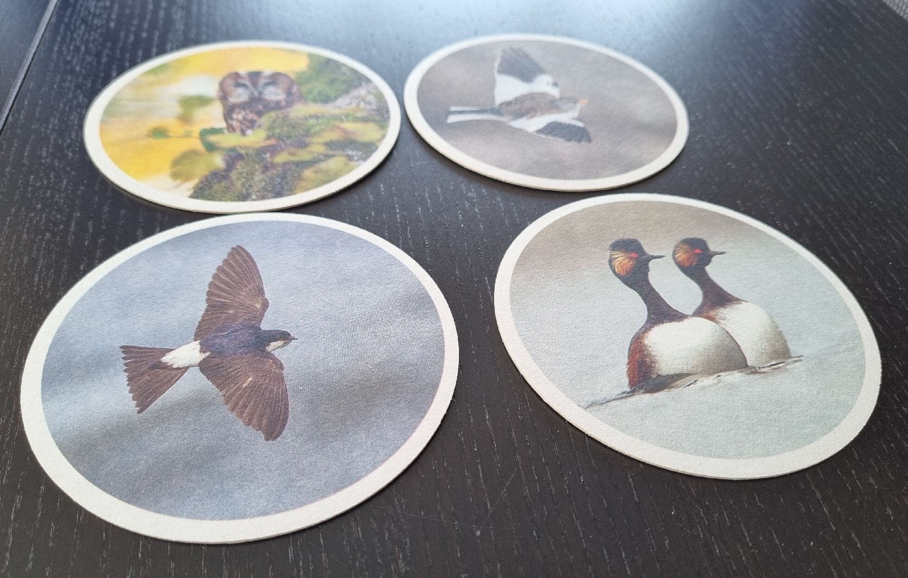 Untersetzer: 4 Stück Vogelwarte Glas- Untersetzer, Neu – Neu und originalverpackt aus Nottwil von Janny77 1