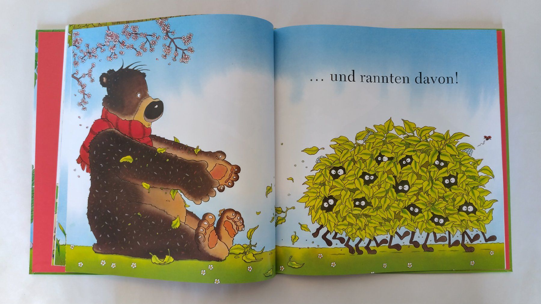 Libri: Wer knuffelt mit Bär Paulchen? / Grosses Bilderbuch – Usato da Bellach venduto da JingleJerry 5
