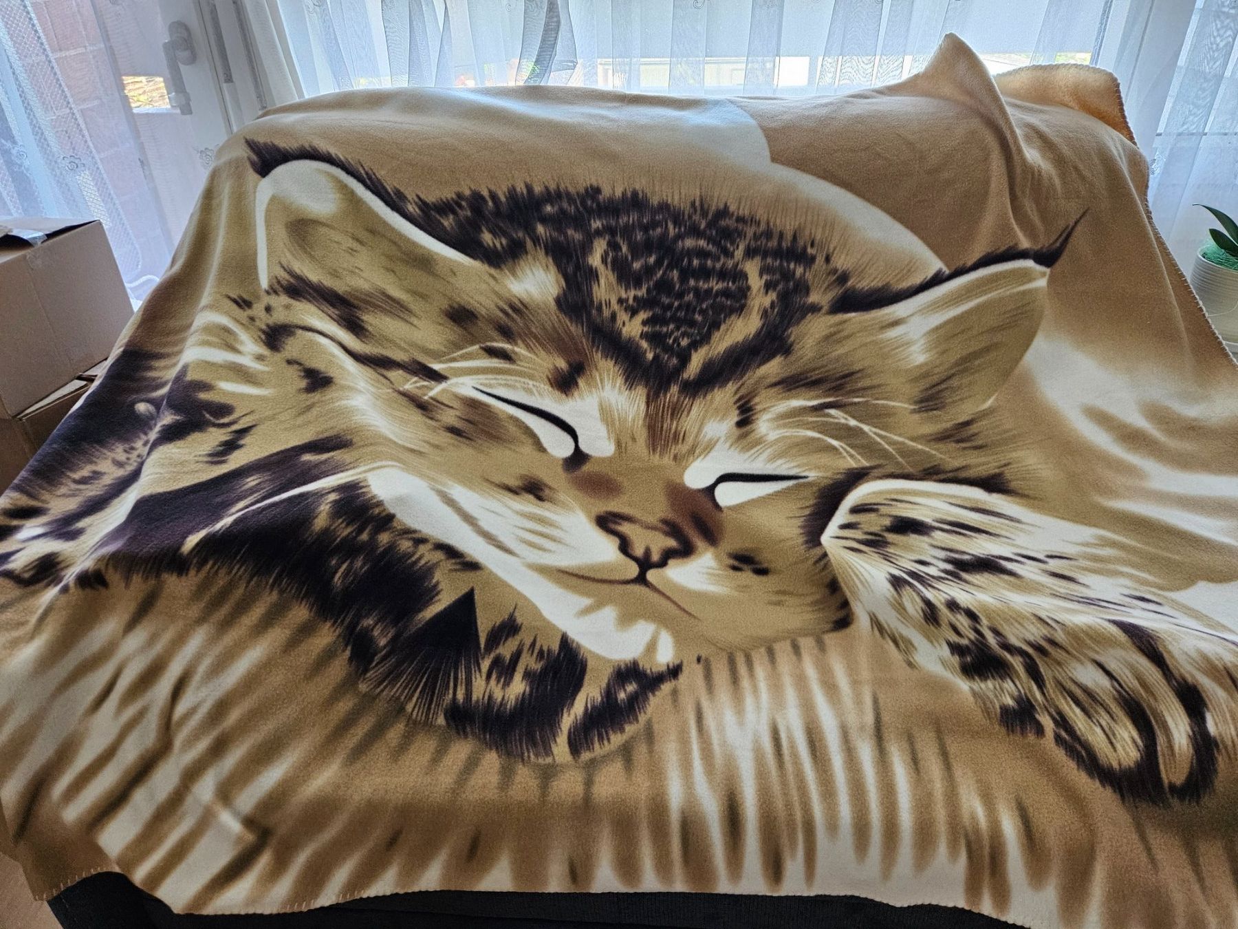 Coperte: Kuschelige Fleecedecke mit Katzenmotiv – Nuovo (secondo la descrizione) da Muttenz venduto da Gepard23 1