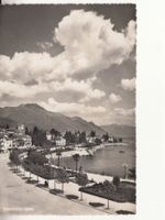 Locarno 1951