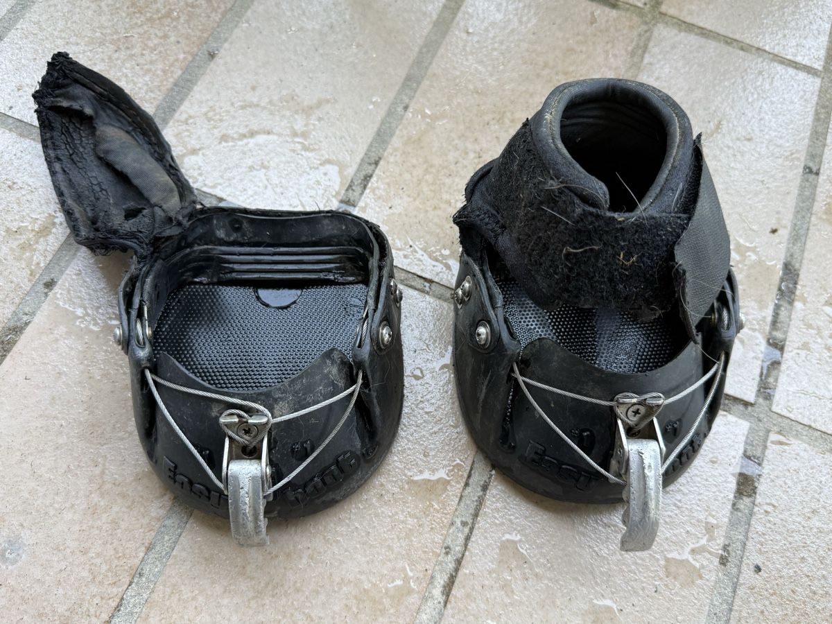 Scarpe per cavalli: Easy Boot Epic #1 – Usato da Bad Zurzach venduto da Radesi 1