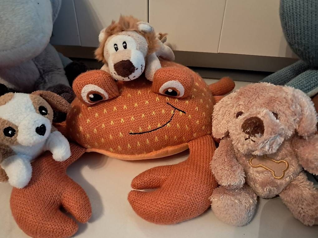 Jouets: Kuscheltiere Coop uvm. – D'occasion à Belp par Verk976 3