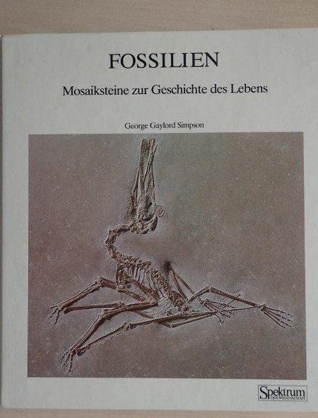 Bücher: Fossilien  Buch – Gebraucht aus Rickenbach BL von Oktober68
