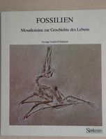 Fossilien  Buch