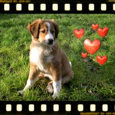 Profile image of xena710