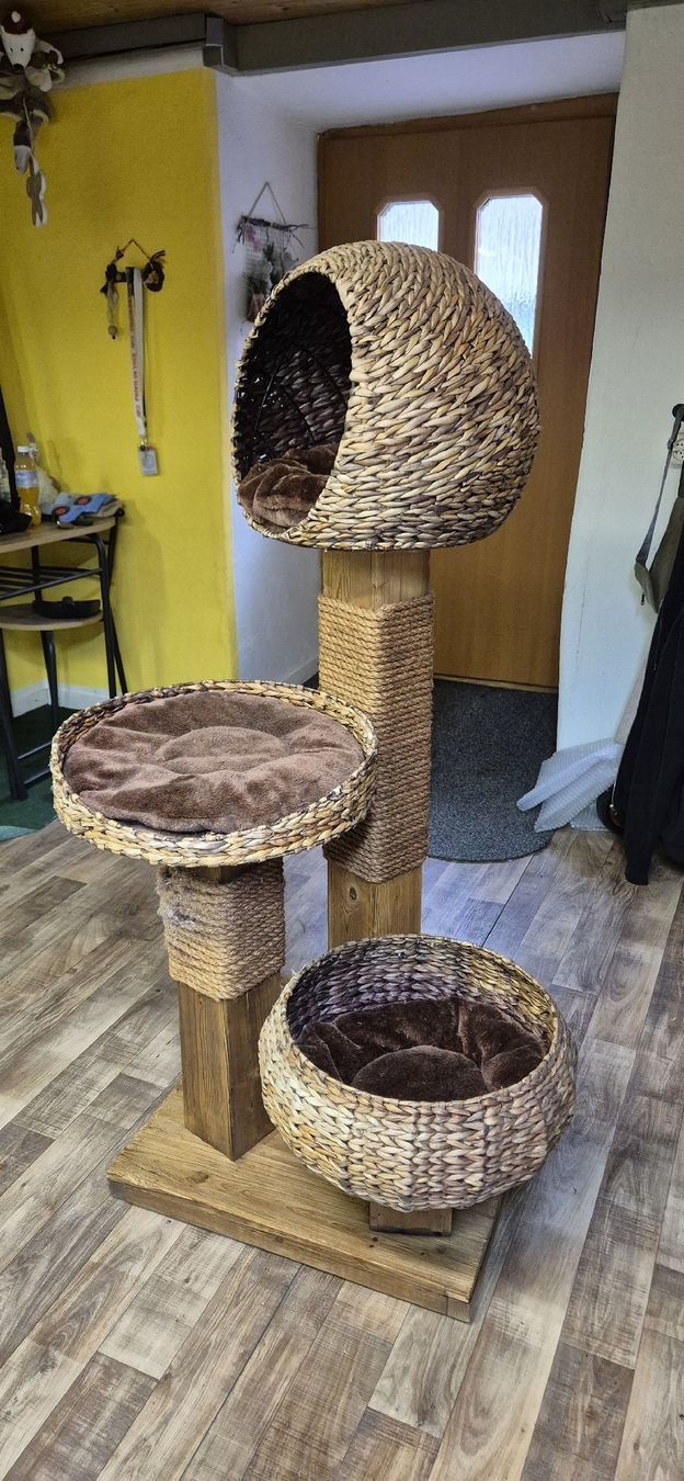 Katzenbaum - Kratzbaum: Katzenbaum – Gebraucht aus näfels von vrenit