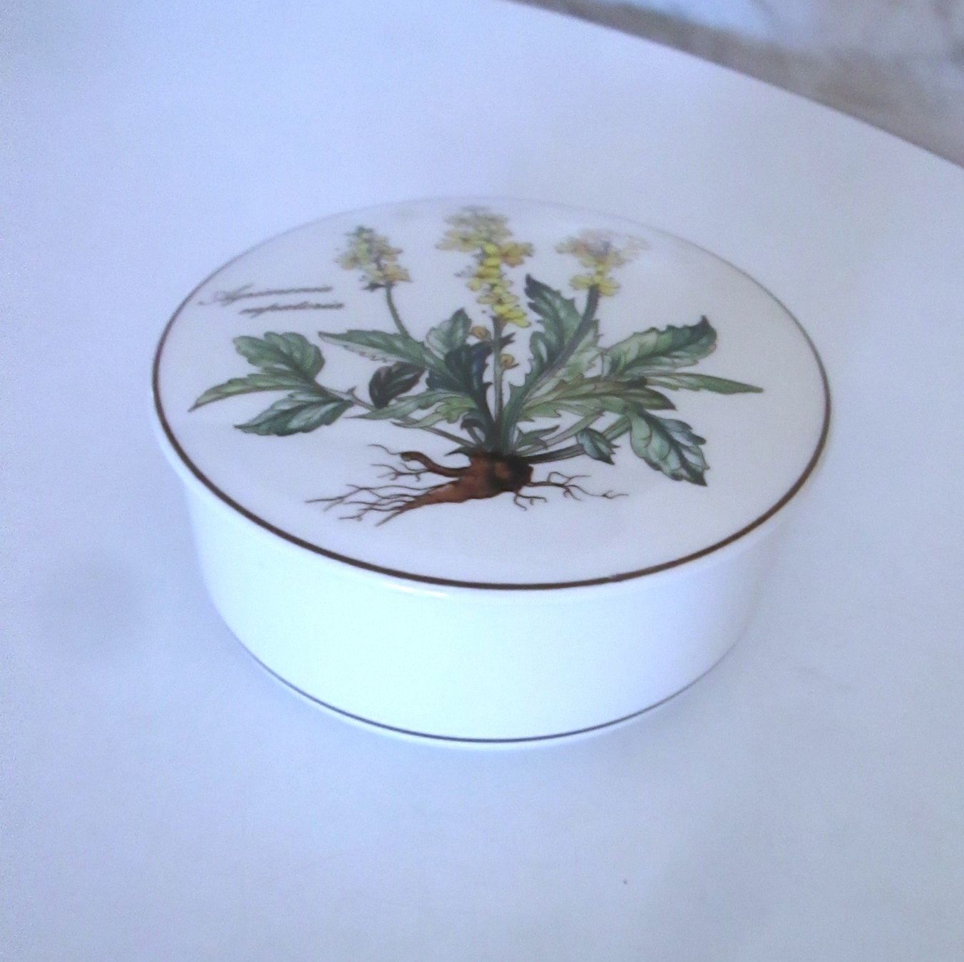 Villeroy & Boch Tutte le decorazioni: Dose Villeroy und Boch – Usato da Sementina venduto da babucia