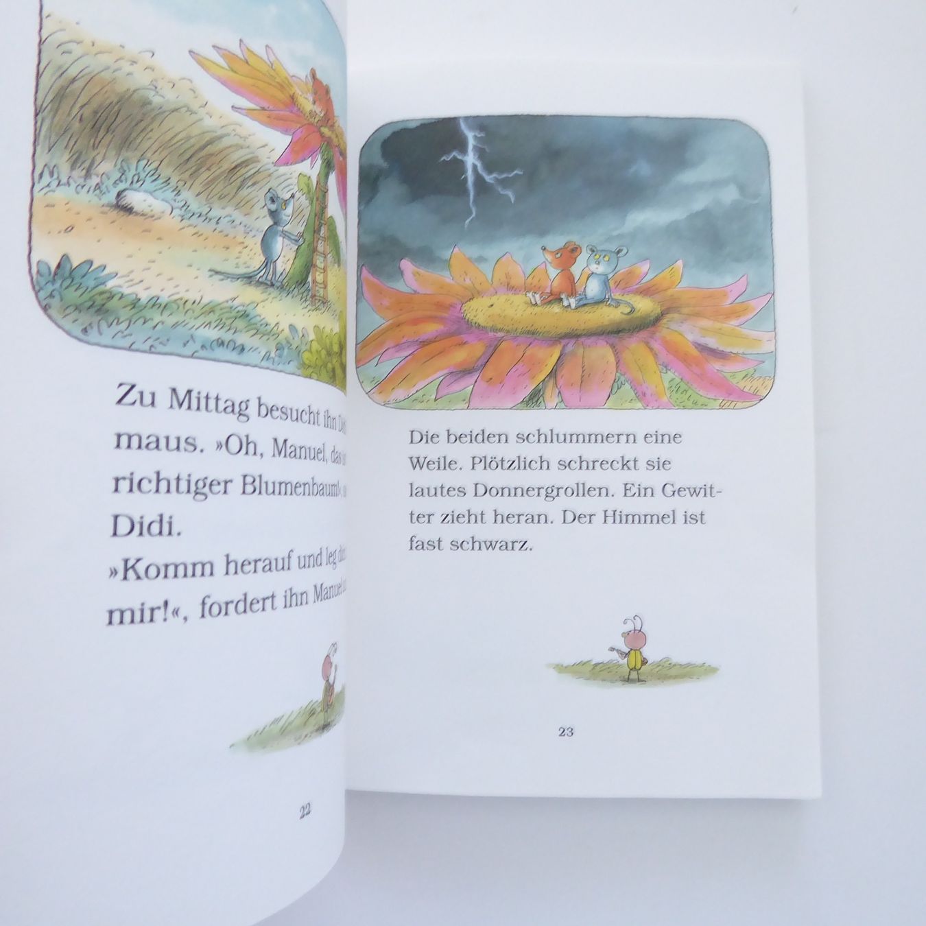 Bücher: Die Abenteuer von Manuel & Didi - Erwin Moser – Gebraucht aus Basel von Kunterbunt12 3