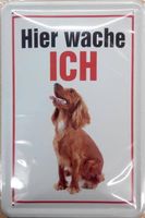 Blechschild-IRISH SETTER-HIER WACHE ICH