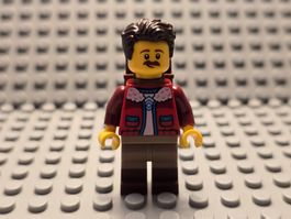 Lego Wanderer aus dem Set 21338(idea147) seltene Figur
