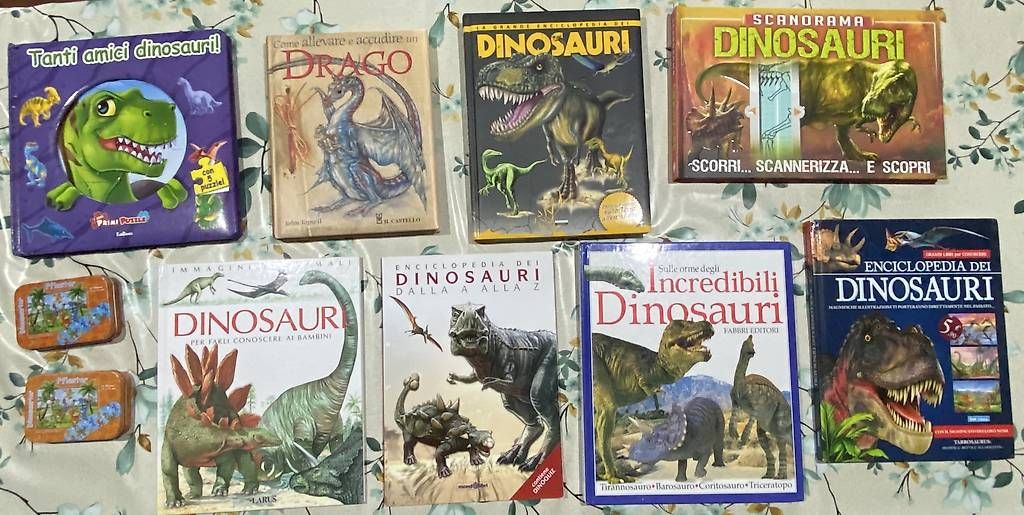 Libri: 7 libri dinosauri + libro draghi + libro puzzle – Usato da Castel San Pietro venduto da sab_lj2d
