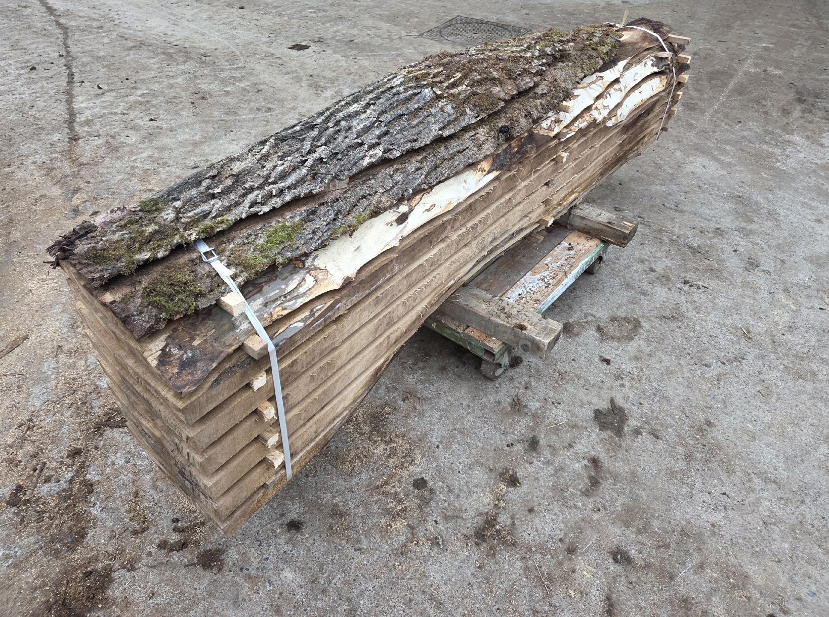 Articoli in legno: Nussbaum, Stamm, Bretter – Nuovo (secondo la descrizione) da Aettenschwil venduto da Betrieb87 3
