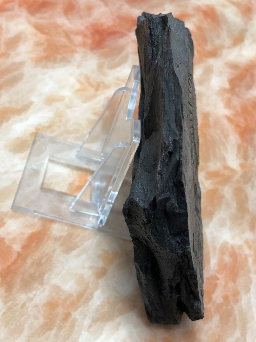Fossilien: Negativ-Abdruck eines Amoniten – Gebraucht aus Aarau von chuckschweiz 4
