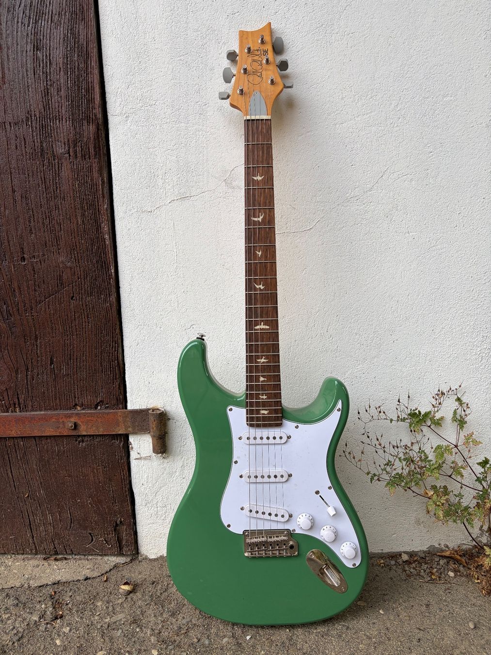 Strumenti musicali: E-Gitarre PRS SE Standard 24 Grün – Usato da Müntschemier venduto da R.e.b.e.c.c.a 4