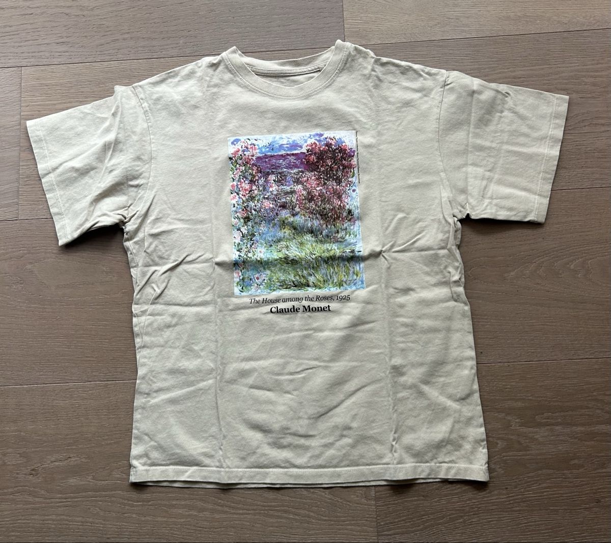 Pull&Bear T-shirt: Claude Monet T-Shirt – Usato da Zug venduto da mbe_t5j2