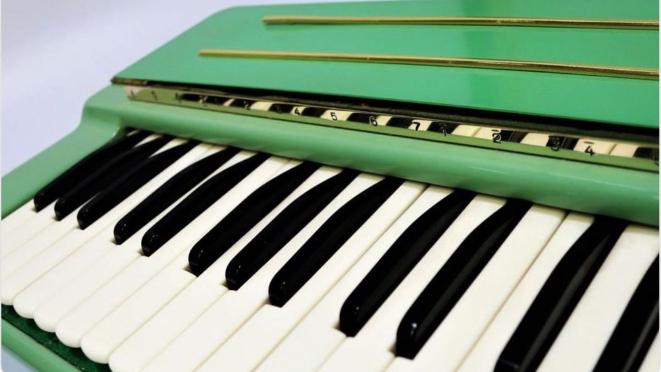 Hohner Strumenti musicali: Hohner Organetta (1958) – Usato da fey venduto da Caductilometre 2