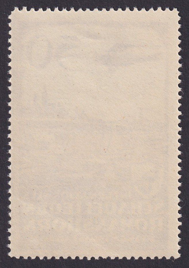 Tutti i francobolli: Flugspende Vignette 1924.3 Flugtag Romanshorn postfrisch ** – Usato da Ebikon venduto da SilvioFreund 1