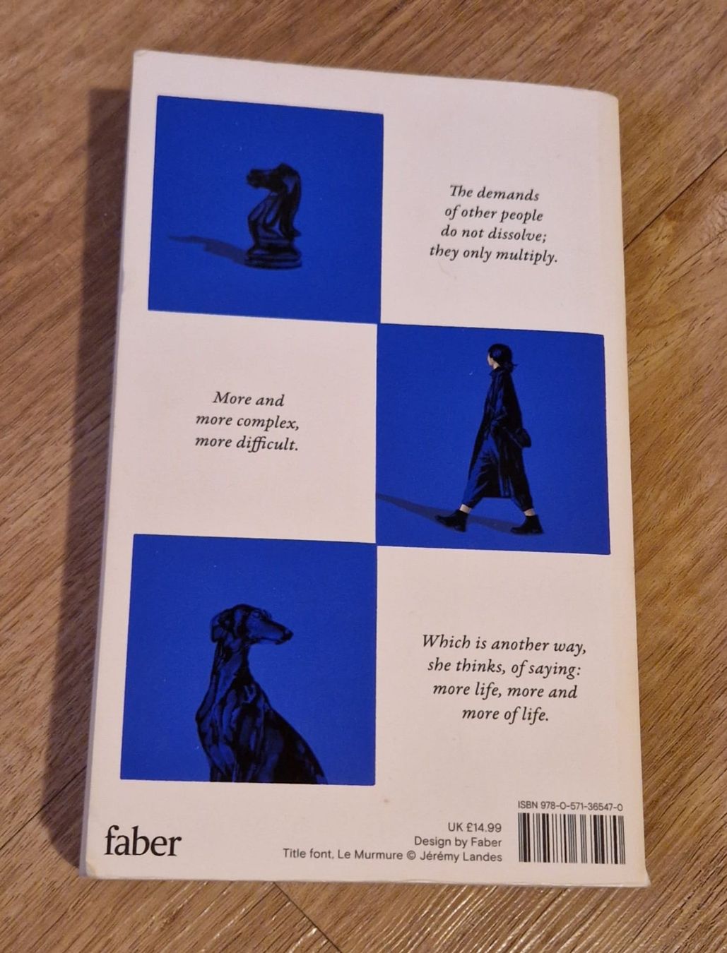 Libri: Sally Rooney - Intermezzo - Roman ENG – Usato da Andermatt venduto da nin_ks9v 1