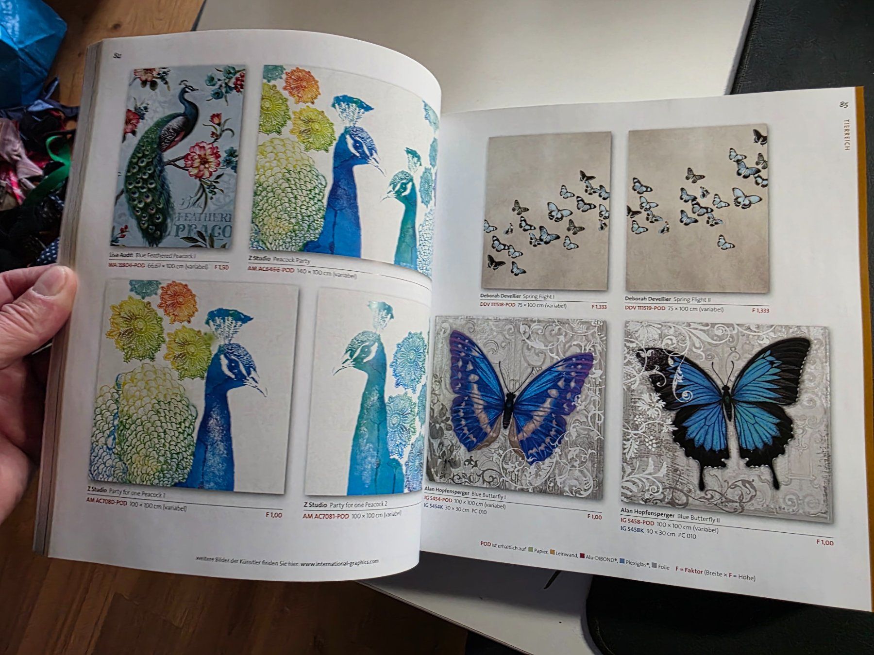 Libri: The Fine Arts Collection - Katalog – Usato da Walterswil BE venduto da Lonitti 5