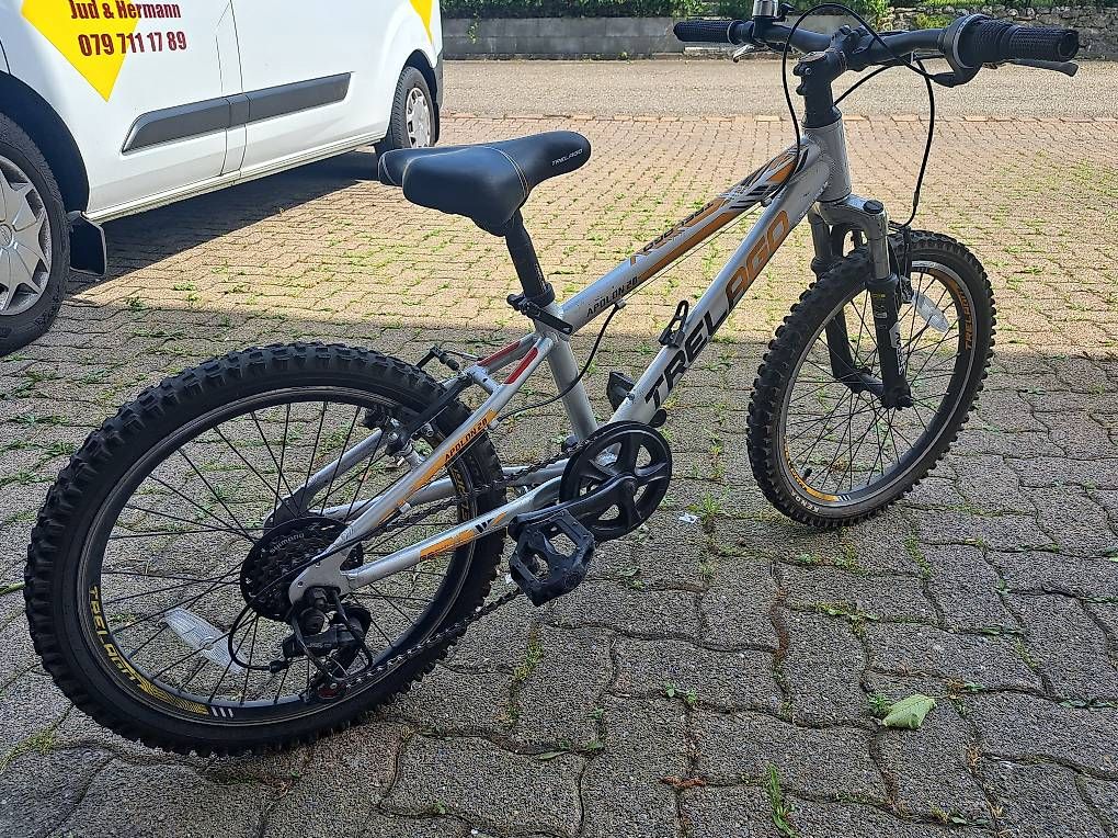 Trelago Biciclette: Kinderfahrrad 20 Zoll Trelago – Usato da Reichenburg venduto da Jud0815 3