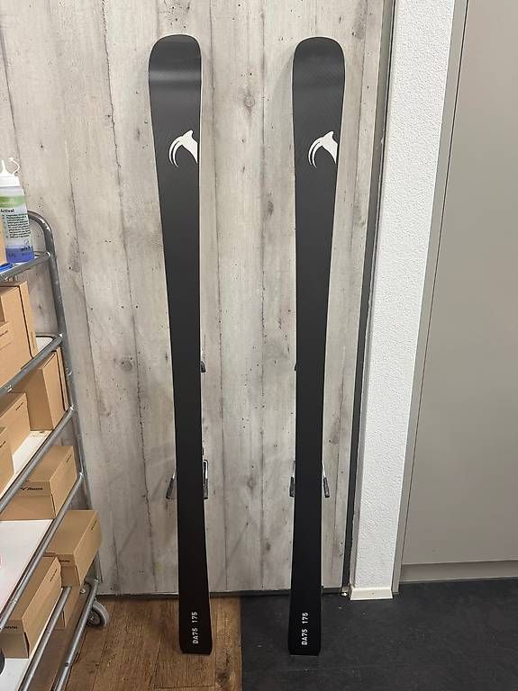 Skis: Differences DA75 175 cm  NEU  inkl. K12 Bindung – Neu und originalverpackt aus Sursee von pilatus.sport 3