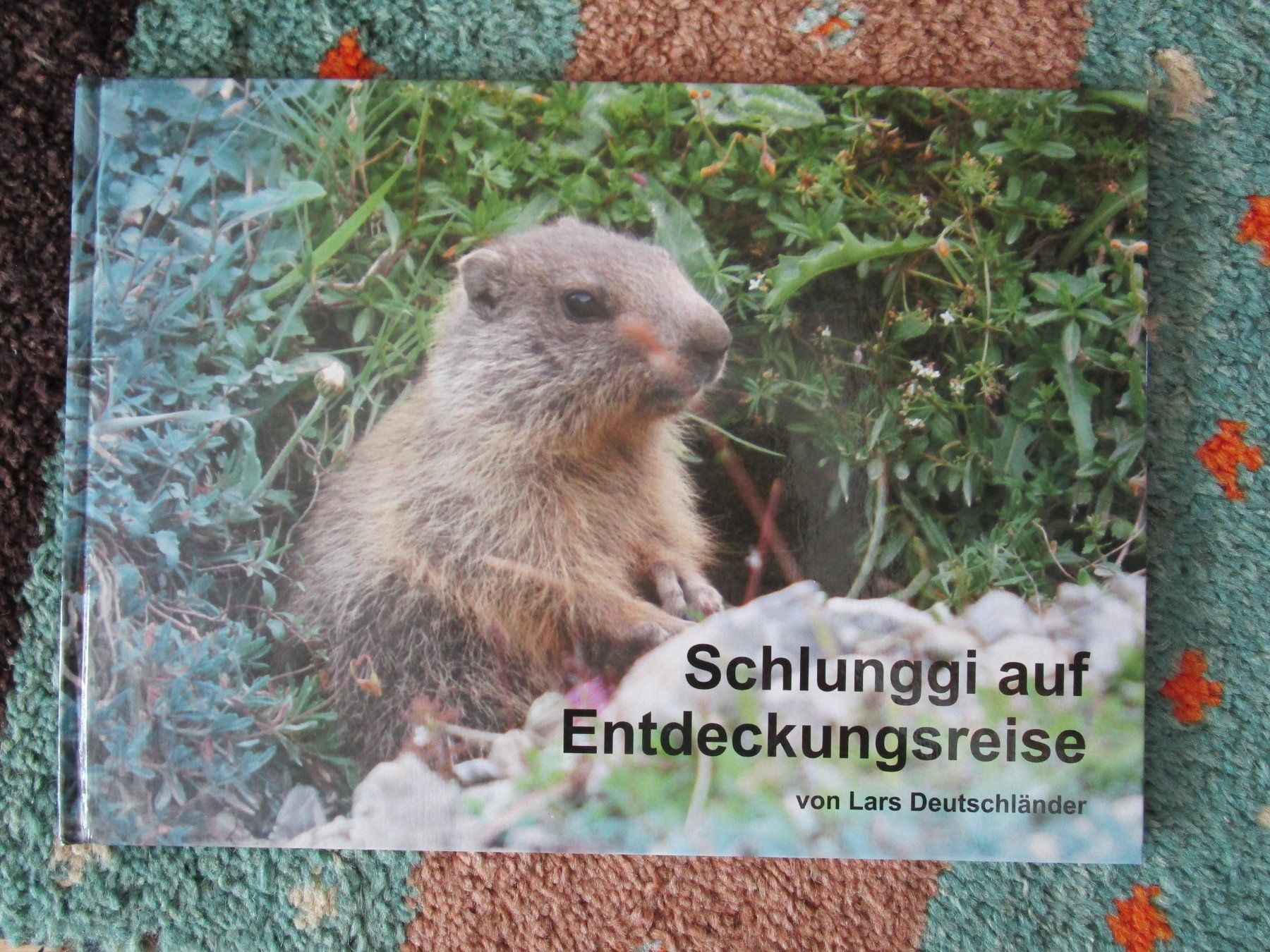 Libri: Schlunggi auf Entdeckungsreise, Kinderbuch – Usato da Scuol venduto da Luana..