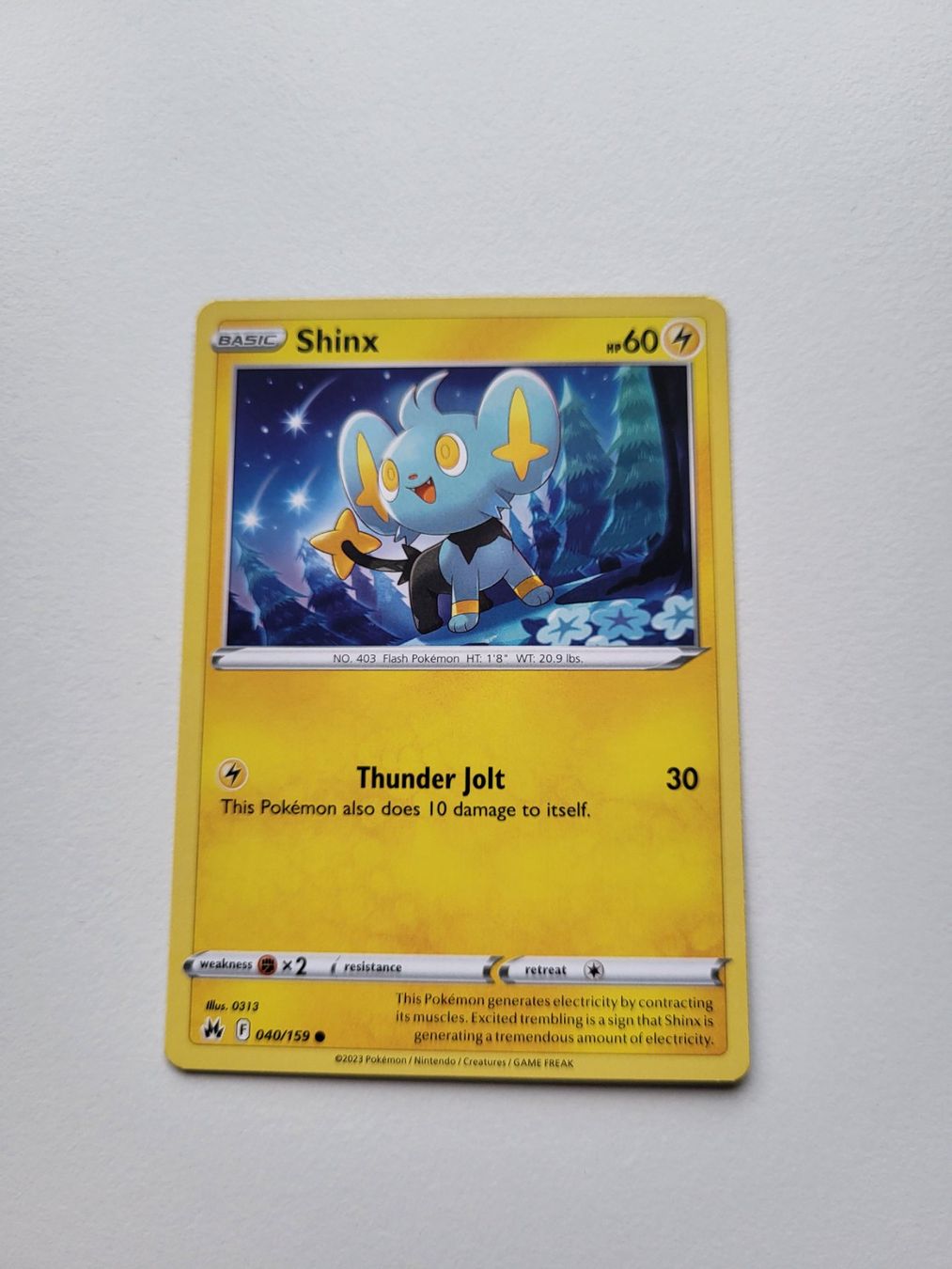 Pokémon Sammelbilder & Trading cards: Shinx (Crown Zenith 040/159) – Gebraucht aus Erlenbach ZH von ram_mjn5
