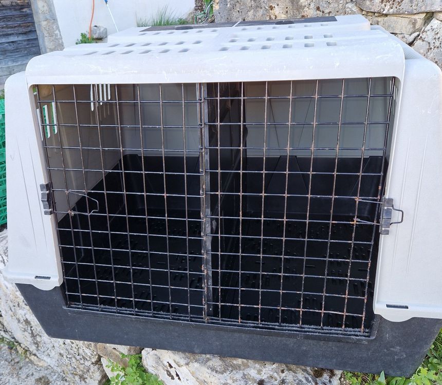 Sitemapcdatahttpsmodeinf Inetcomcage Pour Chien Occasion Le Bon Coin