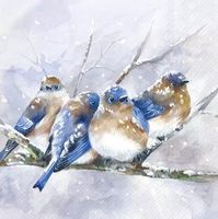 Serviette cuddly birdies (1740) 2Stk.