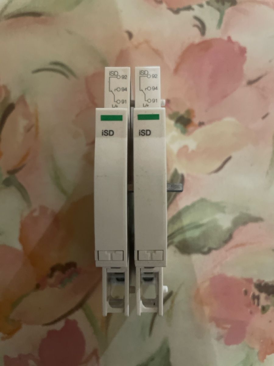 Schneider Alimentazione elettrica: Lot de 2 modules ISD – Usato da Gillarens venduto da PandaGore