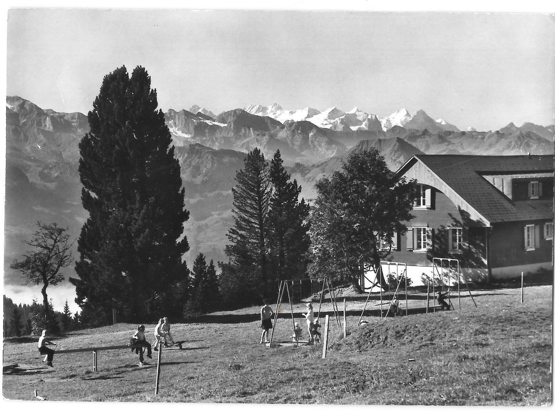 Cartoline postali: Rigi - Scheidegg Touristenhaus – Usato da Olten venduto da clotaldi