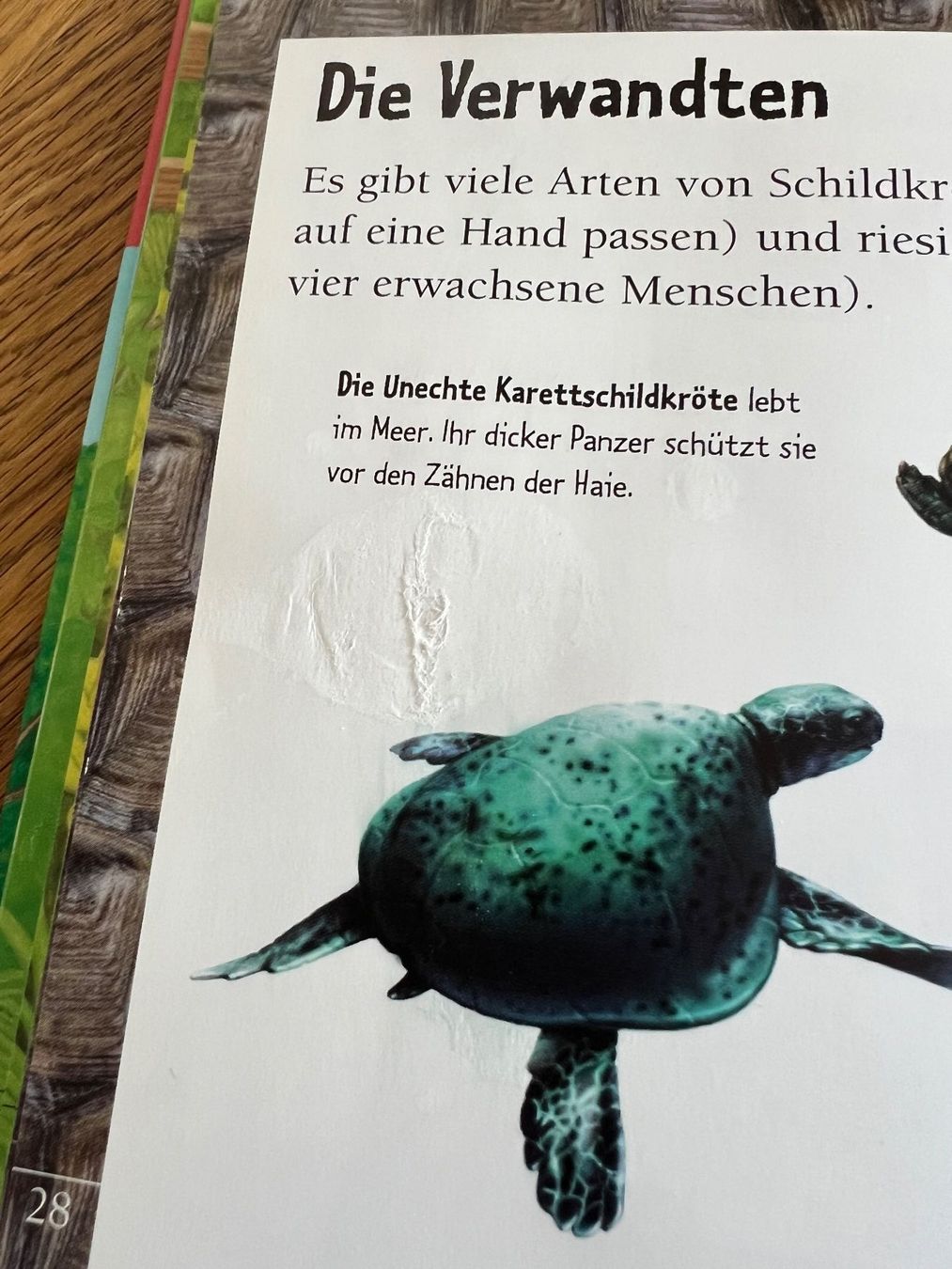 Livres: Kinderbuch – D'occasion à Zürich par efae 1