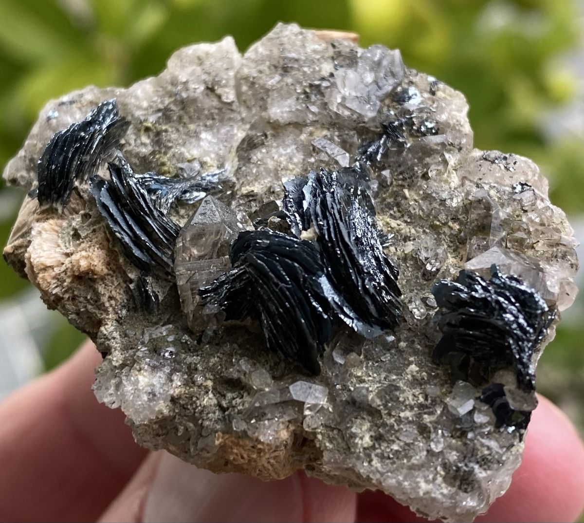 Minerali & Pietre curative: Wunderschöne Eisenrosen  – Usato da Selzach venduto da 321compac 3