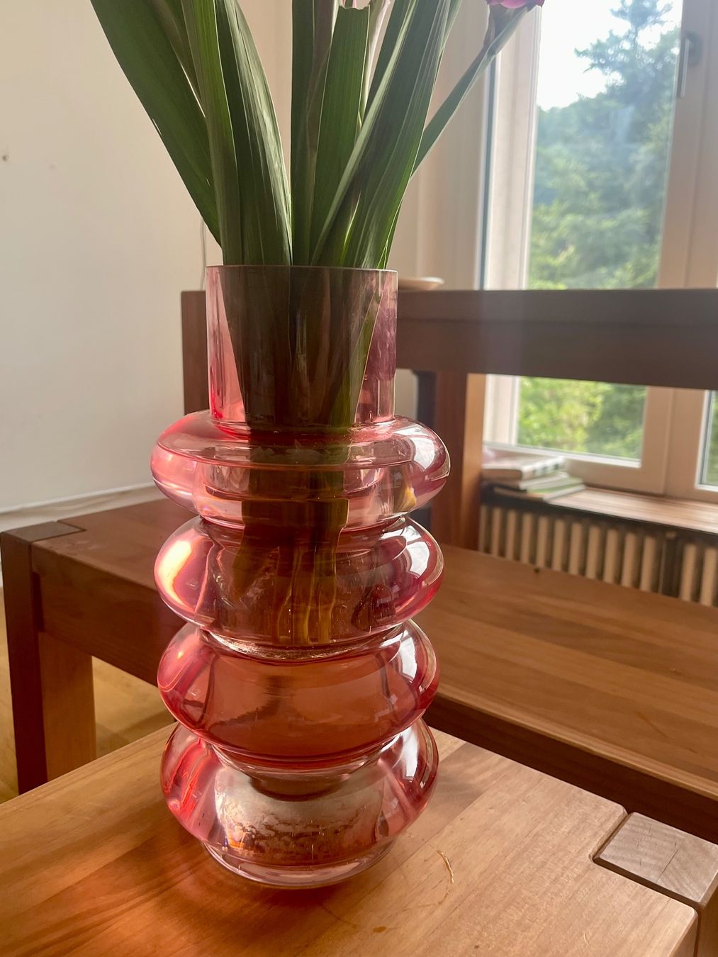Vasi & Recipienti: XXL rot rose Glas Vase – Usato da Nussbaumen AG venduto da HelenaDavid1910 2