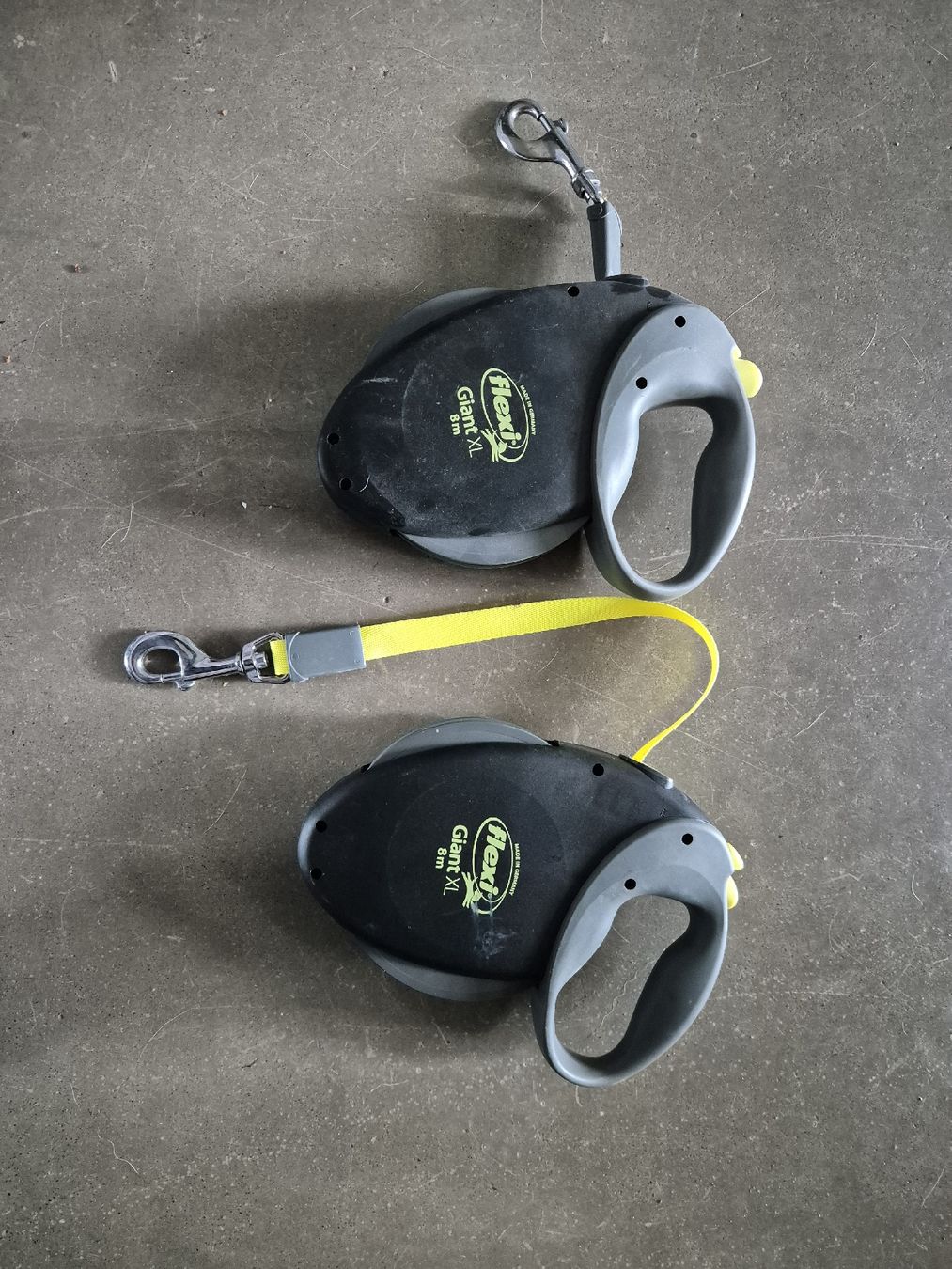 Guinzagli & Collari: 2x Flexi Giant L, 8m – Nuovo (secondo la descrizione) da Dulliken venduto da hya_7bpd 1