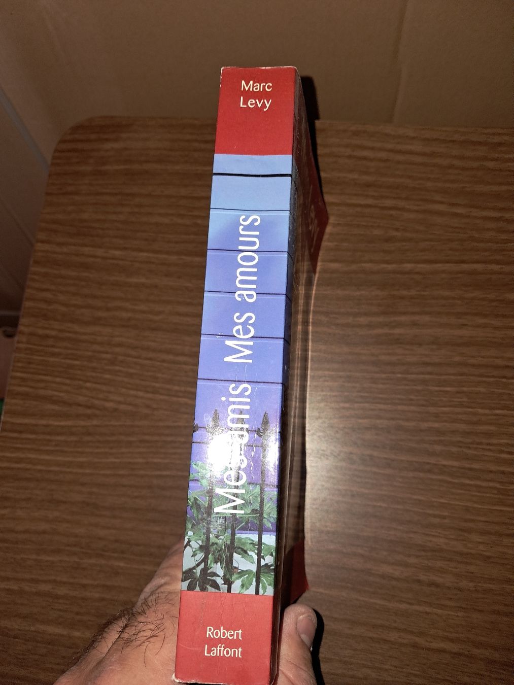Libri: Mes amies mes amours de Marc levy – Usato da Le locle venduto da juliensaran 2