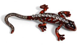 Dose, Krokodil, Reptilie, Figur