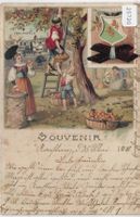 Souvenir Suchard - Frauenfeld TG - Litho