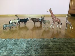 Schleich Tierfiguren Set 8 Stück gebraucht guter Zustand