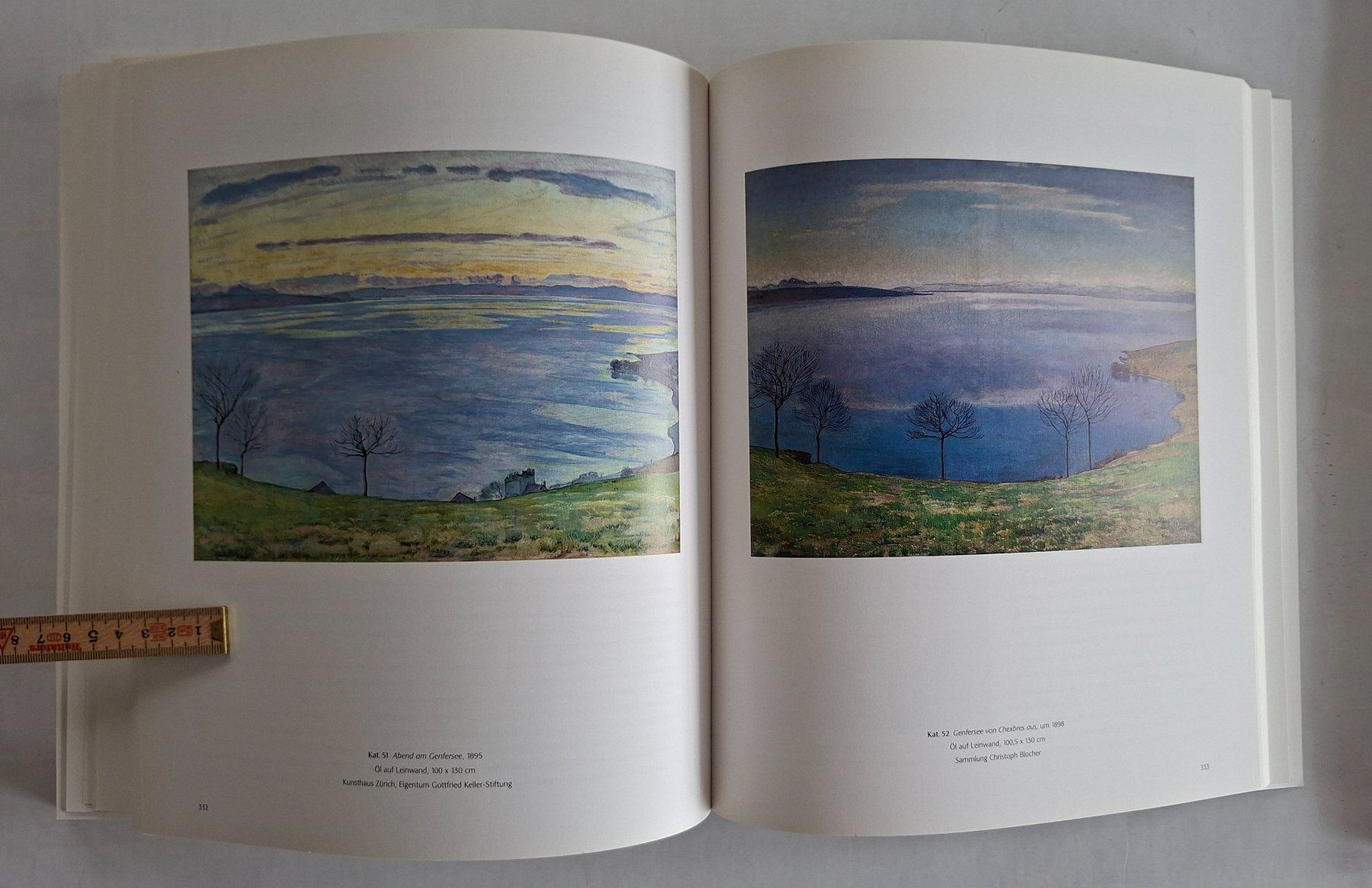 Bücher: Ferdinand Hodler Kunstbuch, selten, vergriffen – Gebraucht aus Opfikon von Diversamente 9