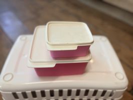 Tupperware Frischeboxen Set – 500 ml & 2,5 Liter mit Deckeln