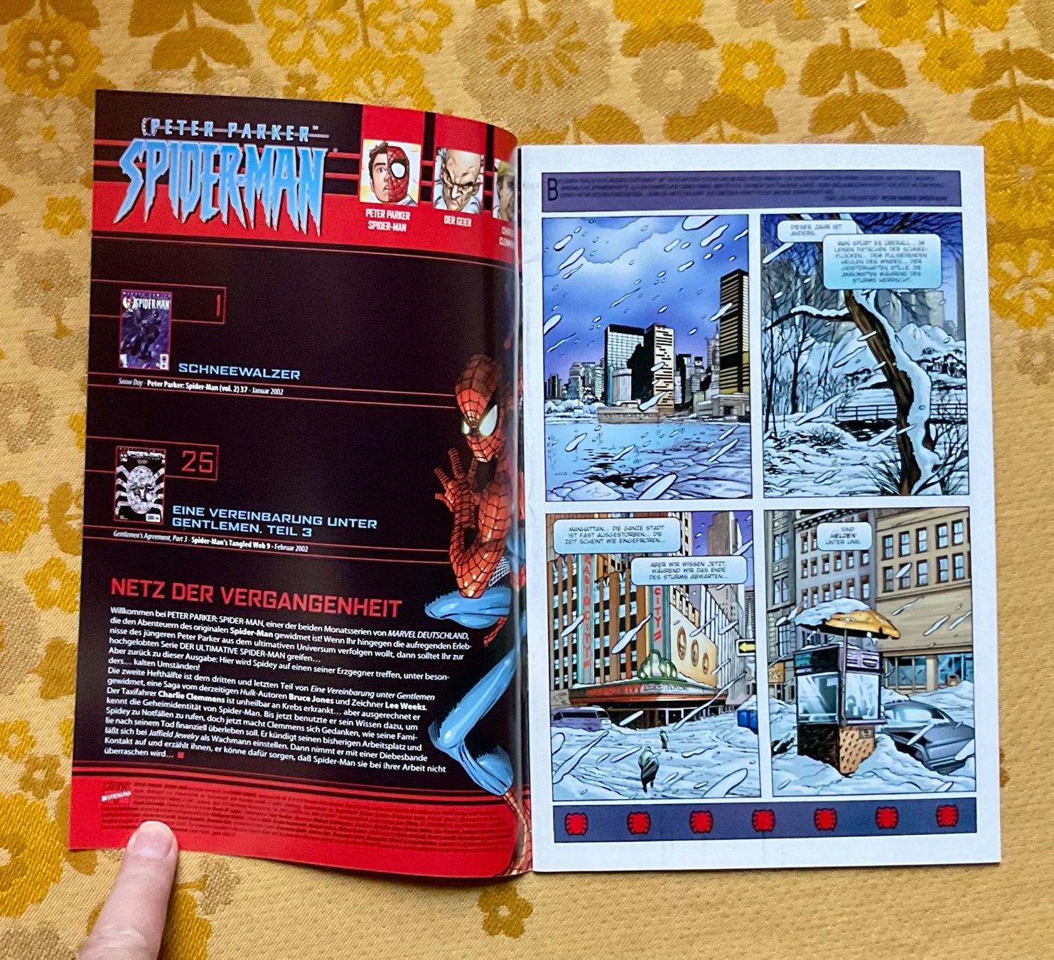 Fumetti: Peter Parker Spider-Man Heft Nr 24 von 2002 – Usato da Endingen venduto da nathan05 1