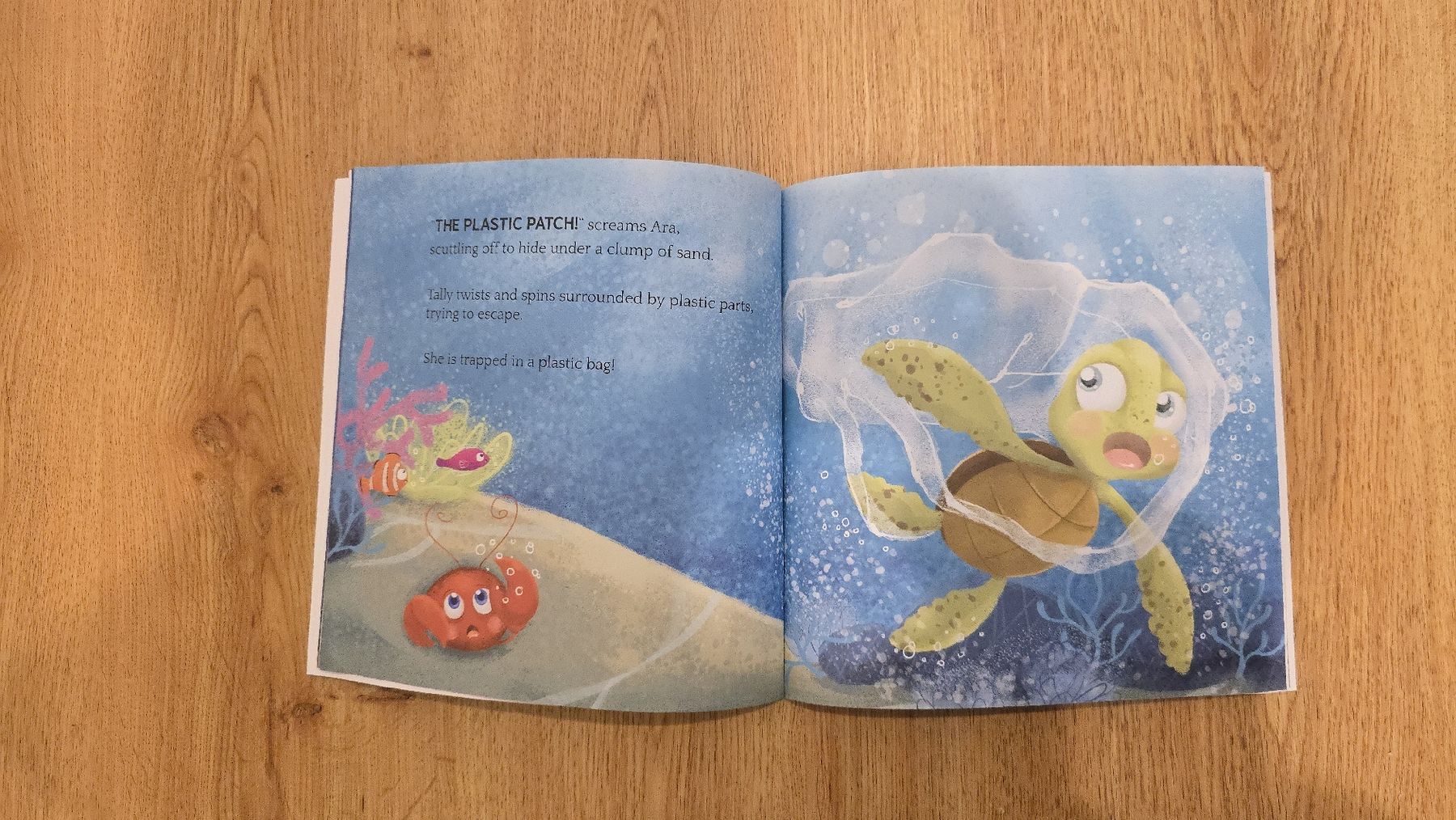 Libri: Kinderbuch English Saving Sally – Nuovo (secondo la descrizione) da Buchberg venduto da MaddieF 1