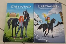 Ostwind Bücher "Für immer Freunde" und "Weihnachten mit...
