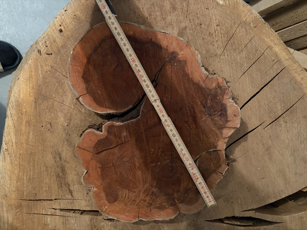 Articoli in legno: Eiben Holzscheibe – Nuovo (secondo la descrizione) da Reichenburg venduto da woodlov 1
