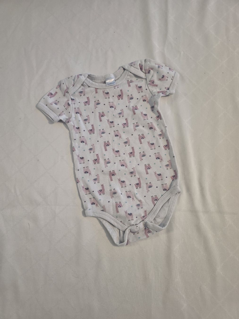 Kleiderpakete & -sets: Kinderkleiderpaket Mädchen Gr. 74/80 – Gebraucht aus Hermrigen von R20121989 6