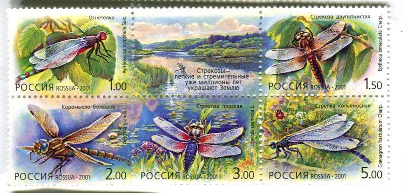 Alle Briefmarken: Briefmarken "Libellen". Russland – Neu und originalverpackt aus Basel von Butsch5