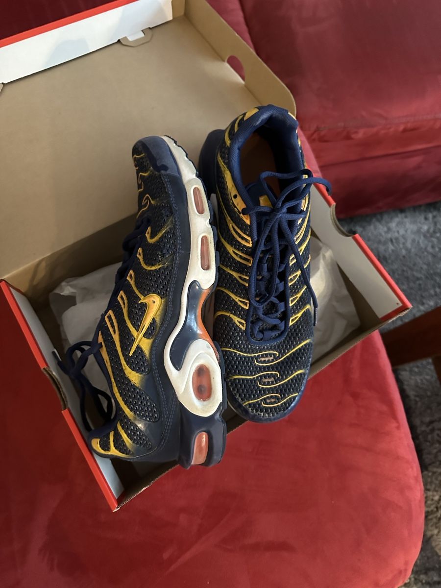 Nike Scarpe da uomo: Nike Air Max Plus – Usato da Schwarzenburg venduto da micmag 1