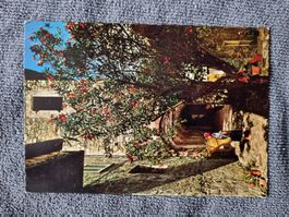 Gandria 1965 Ansichtskarte Postkarte gelaufen mit Marke